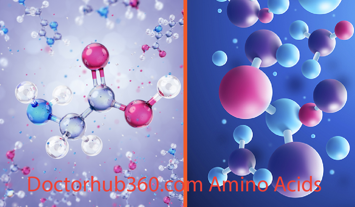 Doctorhub360.com Amino Acids