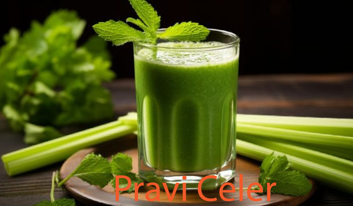Pravi Celer