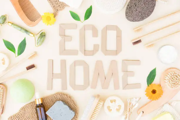 Easy and Useful Ways to Make Your Home More Eco-Friendly