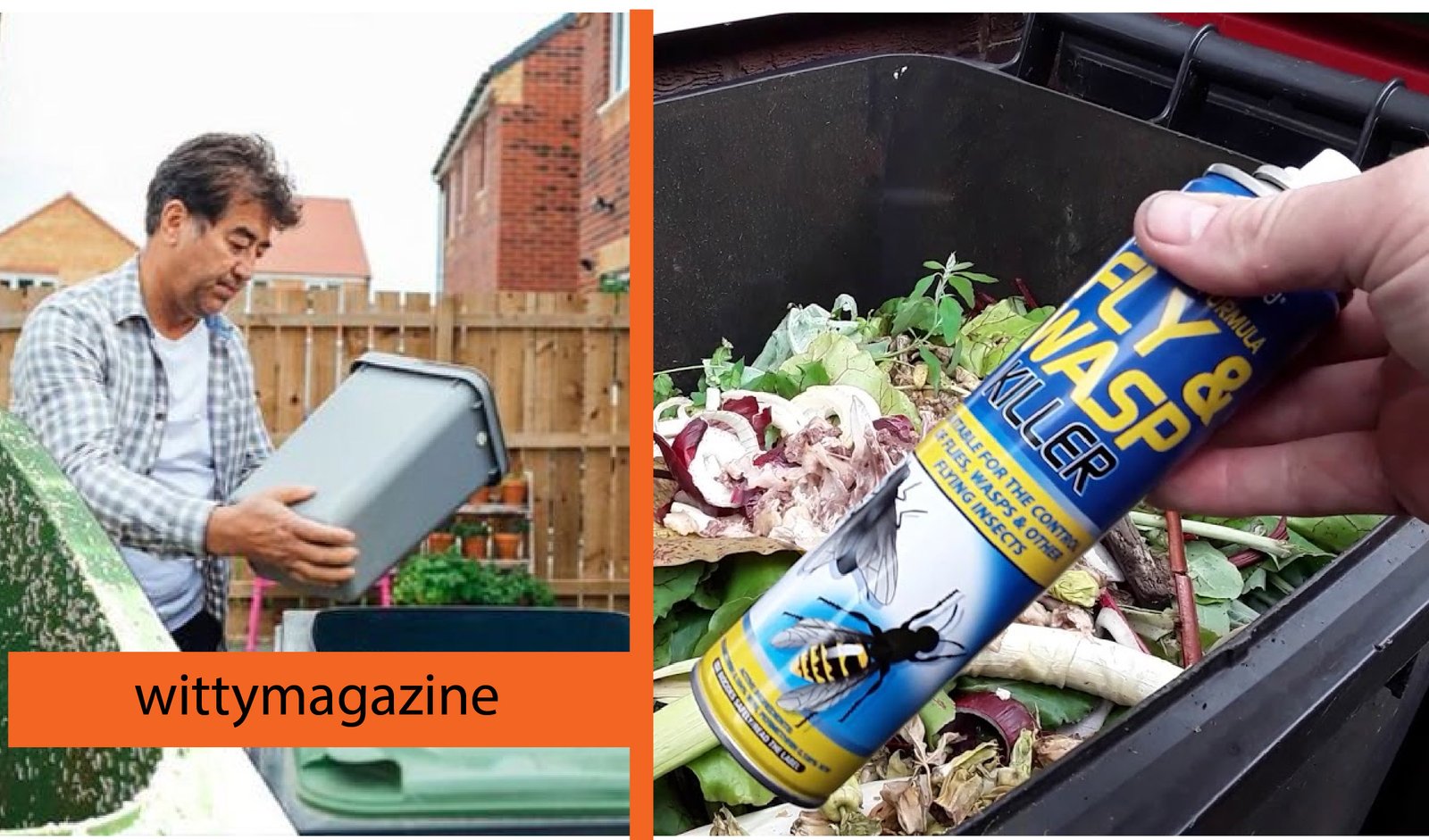 maggots wheelie bins hot weather