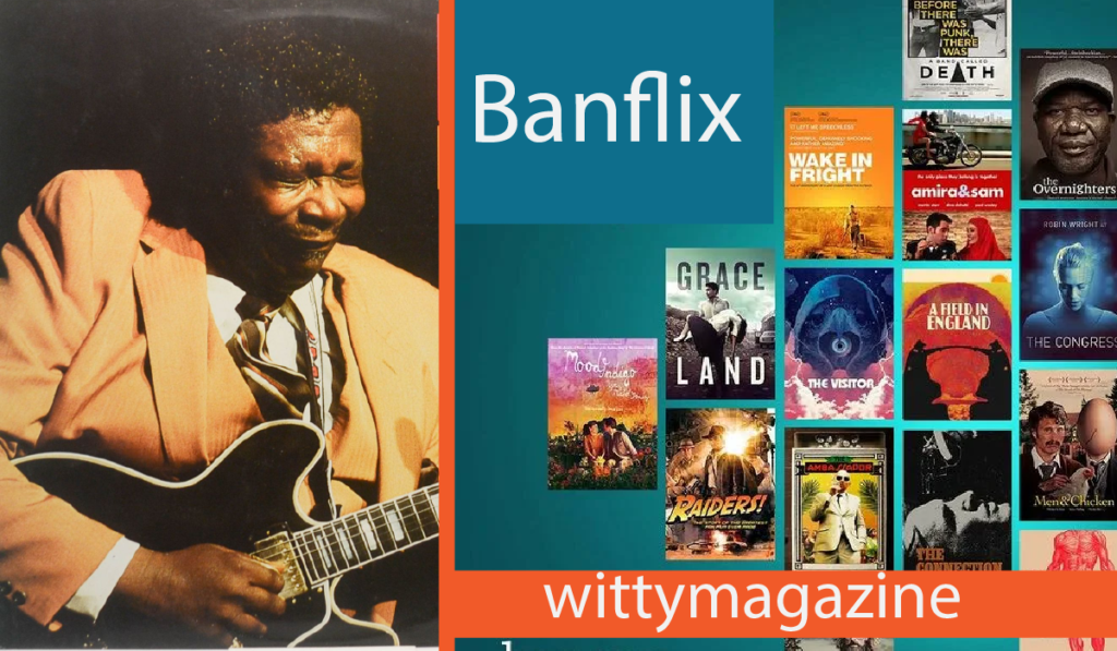 Banflix: The Complete Guide To Legality, Safety, Risks & Alternatives Banflix