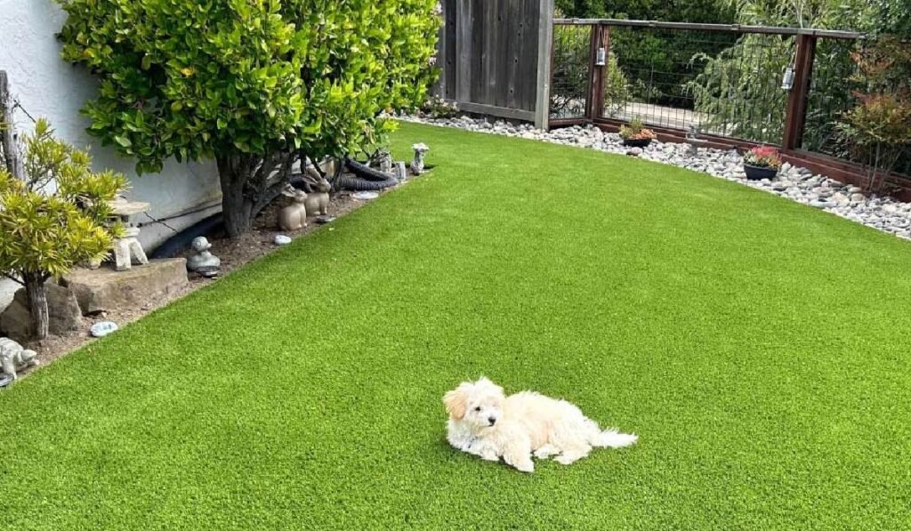Mud Free Garden Ideas for Families and Pets