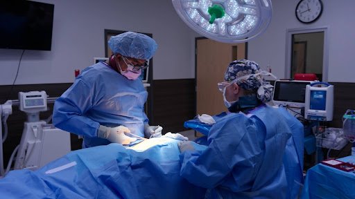 Elite Medical Credentials 