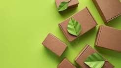 The Green Shelf: How to Transition to Sustainable Packaging Without Losing Your Brand Identity